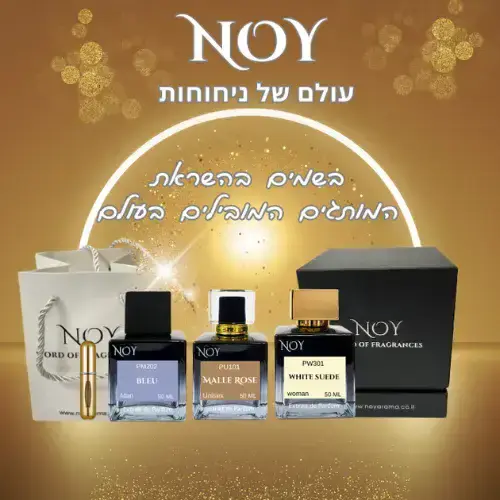 קולקציית בשמים יוקרתיים של Noy עם שמנים אתריים ונרות ריחניים למכירה.