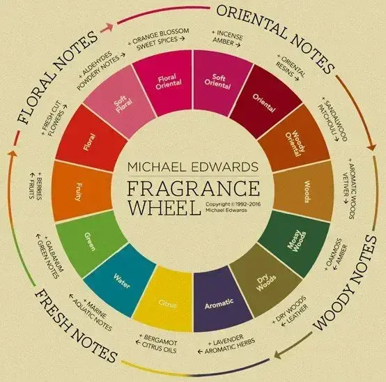גלגל ריחות של מייקל אדוארדס, מציג קטגוריות וטעמים של בשמים ושמנים אתריים.