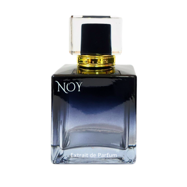 בקבוק בושם מעוצב בצבע כהה עם מכסה שקוף, מתאים לשימוש יומיומי.