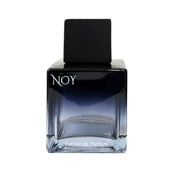 בושם לגבר בקבוק בושם עם כיתוב "Noy" ועיצוב אלגנטי בצבעים כהים. מוצר ריחני יוקרתי לבית ולעסק.